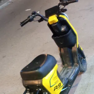 علي 