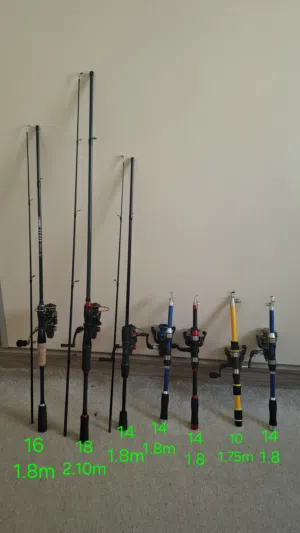 سنانير صيد سمك قصبات / مكاين