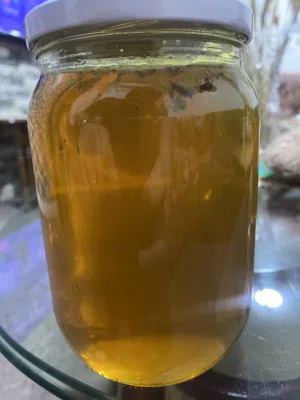 عسل مرار اصلي 100%