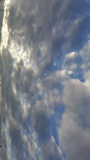 عبدالرحمن 
