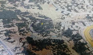 Farm Land for Sale in Tafila Other