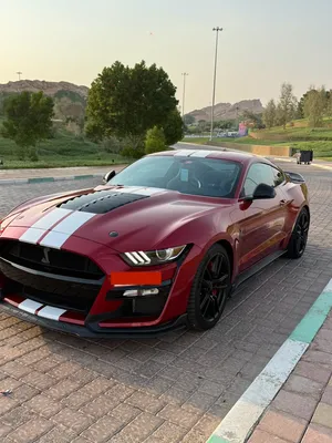 Ford . Mustang . 2020 . Used2