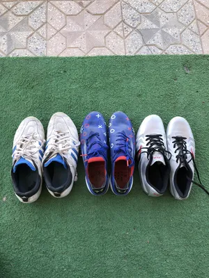 Sport Shoes . Adidas . 421