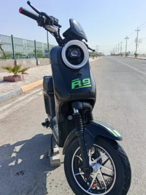 R9شحم للبيع