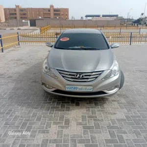 صوناتا 2010