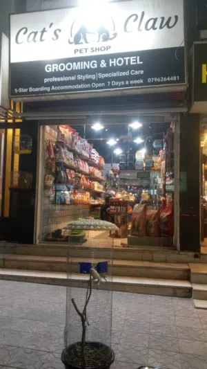 محل حيونات الايفه للبيع