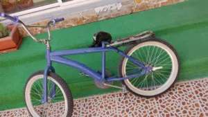 سيكل مرتب الاسم رامبو حجم 20