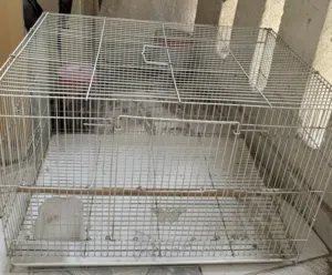 Big cage - قفص كبير