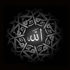 سالم الرشيدي 