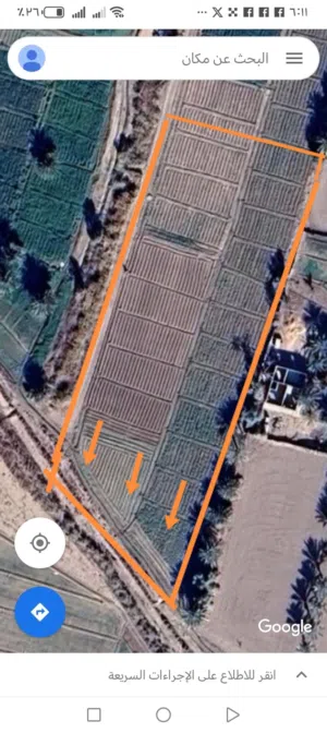 Farm Land for Sale in Baghdad Mahmudiyah
