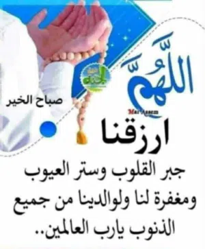 بيض عربي وفيومي حجم غليظ  تجميع أسبوع