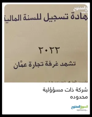 شركة ذات مسؤولية محدوده