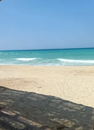 شاليه في الساحل
