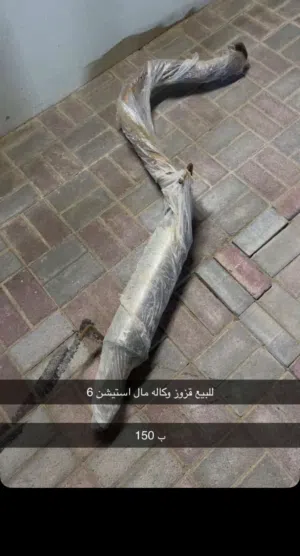للبيع قزوز