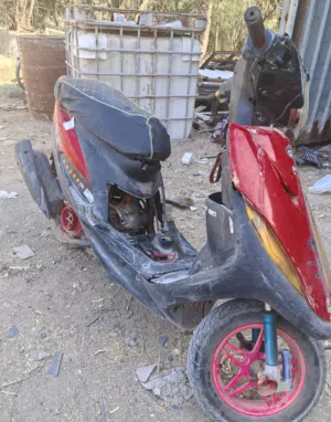 ماكس عدلة للبيع شغالة