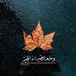 ام تحسين 