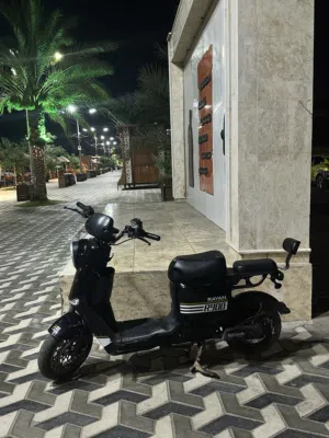 سلام عليكم دراجة شحن ريان  R900