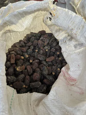 نفيعة ممتازة انتاج شهر 7،8