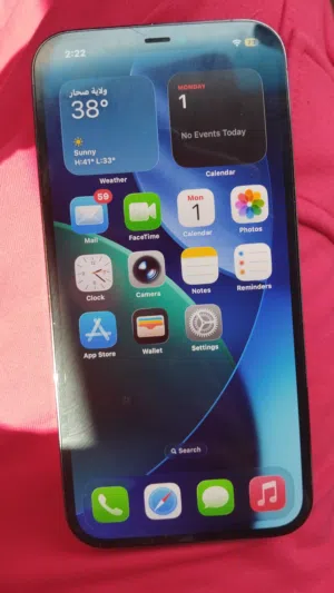 ipohne 12 pro max