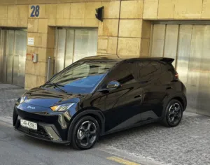 Used BYD Seagull in Amman
