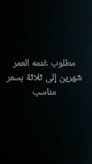 مطلوب غنمه بسعر مناسب