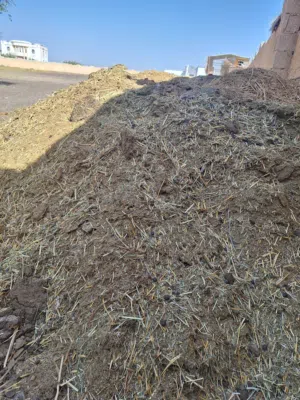 سماد غنم نظيف