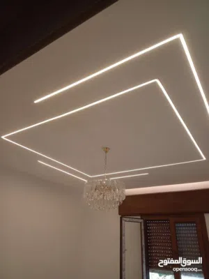 فني طلاء داخلي وخارجي من تونس