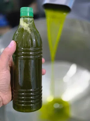 زيت نظيف بعل رومي