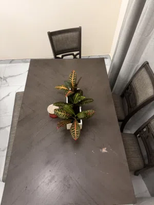 Urgent Sale -  Dining Table Set