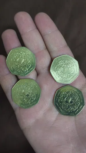12 قطعة أردنية تاريخية للبيع شامل التوصيل لأي محافظة