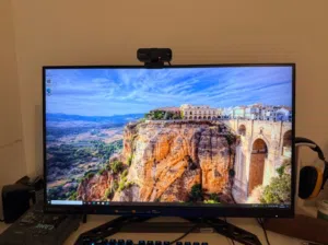 Gaming Monitors (read description)