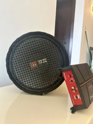 12 inch 1000watts speaker subwoofer bassbox, 500watt amp