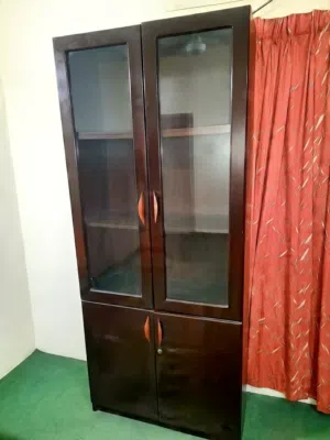 File Cabinet/Cupboard (Home/Office/Study)