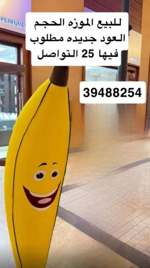 موزه كبيره