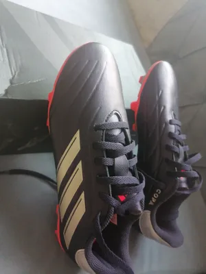 Ball Sports . New2