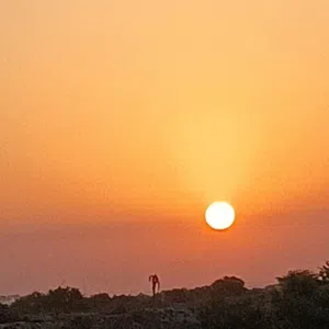 ام يوسف 