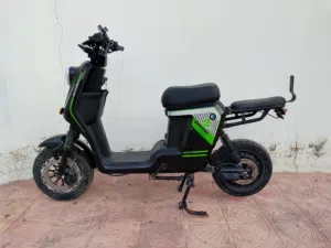 دراجه كهربائيه, الوصف مهم