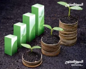 أستاذ محاسبة و اقتصاد حاصل على الامتياز لطلاب الجامعات