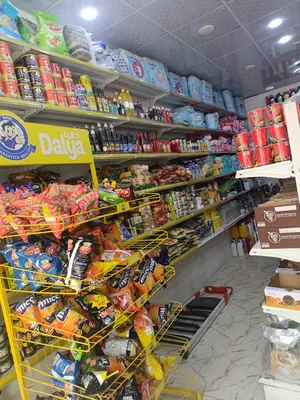 100 m2 . Landlord4