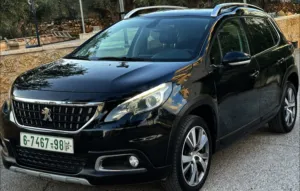 بيجو-جي-تي-لاين-موديل2018-دفعة-وشيكات-شخصية