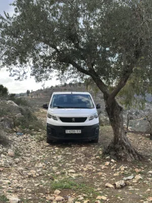 بيجو اكسبرت 2018 ممتازه