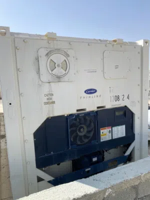 Carrier reefer container