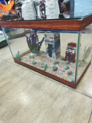 للبيع حوض سمك مجهز بالكامل! حوض أنيق بتصميم عصري، يحتوي فلتر .احجار ، صدف، انارة لد، عشب كامل
