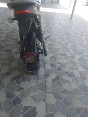 مسعود الغافري