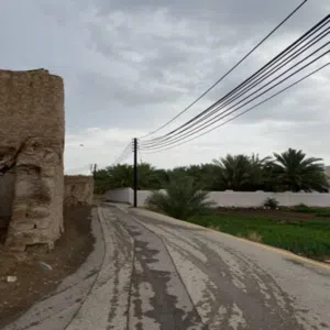 محمد الوائلي 