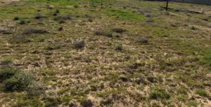 Farm Land for Sale in Tripoli Ghout Abu Saq