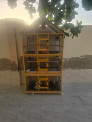 قفص كبير لطيور