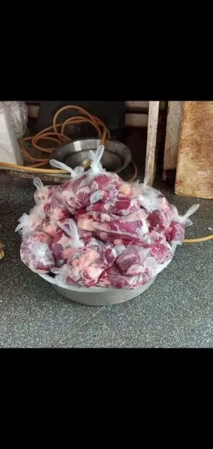 يا ليله وسلام وزاره