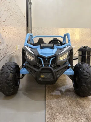 Electric buggy