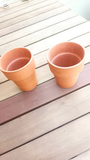 احواض نبات فخر